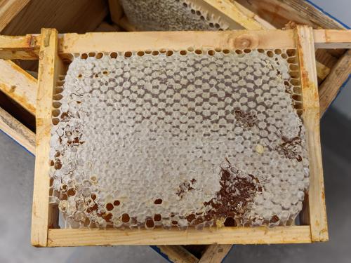 honing in honingraat